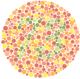 Ishihara Color Blindness Test 13
