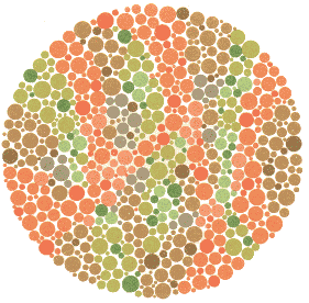 Ishihara Color Blindness Test 15